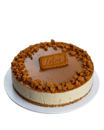 lotus_biscoff_CheeseCake